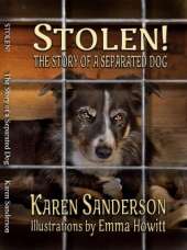 Stolen: The story of a separated dog
