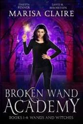 Broken Wand Academy: Books 1-4: Wands and Witches Box Set (Veiled World)