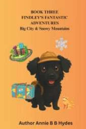 Findley's Fantastic Adventures Book 3: Colouring Pages and Worksheets