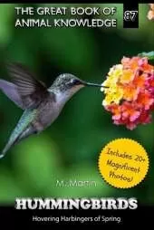 Hummingbirds: Hovering Harbingers of Spring