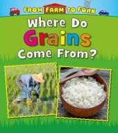 Where Do Grains Come From?