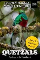 Quetzals: The Jewel of the Cloud Forest