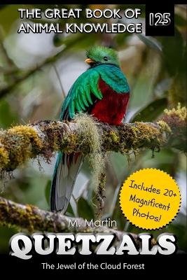 Quetzals: The Jewel of the Cloud Forest