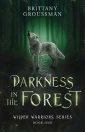 Darkness in the Forest