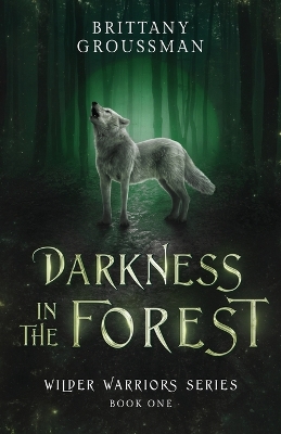 Darkness in the Forest