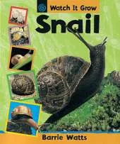 Watch It Grow: Snail