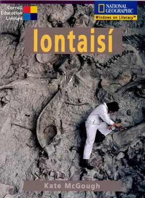 Iontaisi