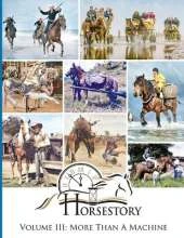 Horsestory Volume III: More Than A Machine