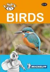 I-spy Birds