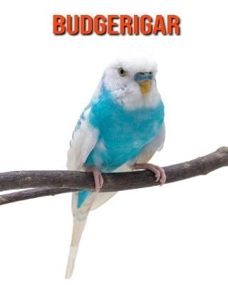 Budgerigar: Beautiful Pictures & Interesting Facts Children Book About Budgerigar