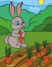 Pets Coloring Book 3 & 4