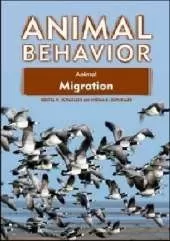 Animal Migration