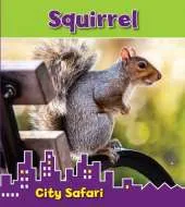 Squirrel: City Safari