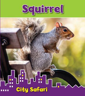 Squirrel: City Safari