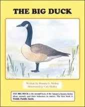 The Big Duck