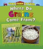 Where Do Grains Come From?