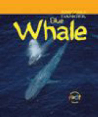 Animals Danger: Blue Whale Paperback