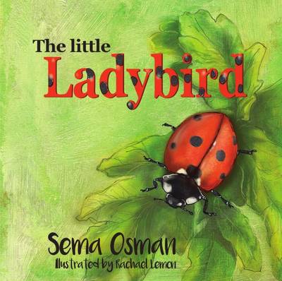 Little Ladybird