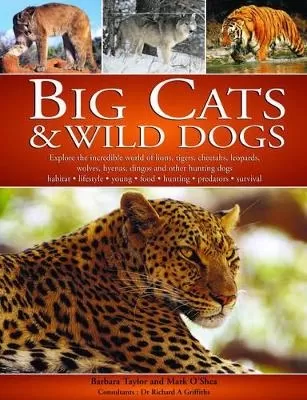 Big Cats and Wild Dogs