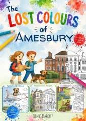 The Lost Colours of Amesbury - Local Colouring Book