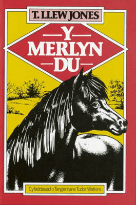 Merlyn Du