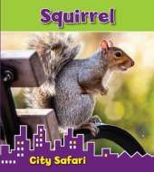 Squirrel: City Safari