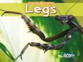 Legs