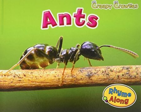 Creepy Crawlies Pack A of 4