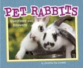 Pet Rabbits: Questions and Answers