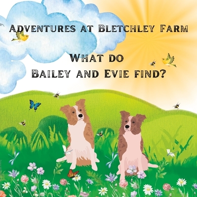 Adventures at Bletchley Farm: What do Bailey and Evie find?