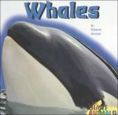 Whales