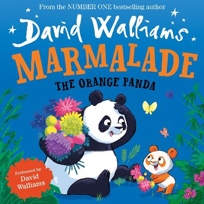 Marmalade: The Orange Panda
