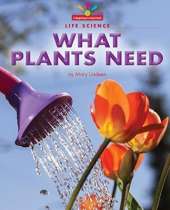 What Plants Need