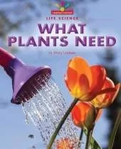 What Plants Need
