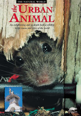 The Urban Animal