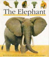 The Elephant