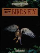 How Birds Fly