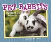 Pet Rabbits: Questions and Answers