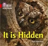It is Hidden: Band 02b/Red B