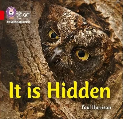 It is Hidden: Band 02b/Red B