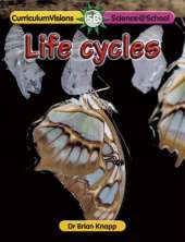 Life Cycles