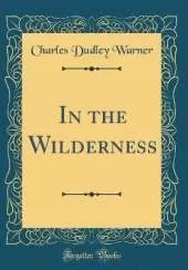 In the Wilderness (Classic Reprint)