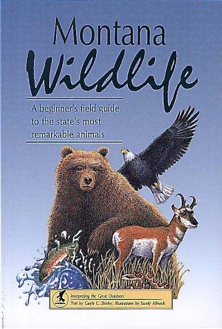 Montana Wildlife: A Beginner's Field Guide to the State's Most Remarkable Animals