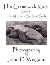 "The Comeback Kids": The Northern Elephant Seals