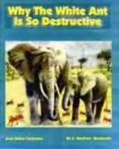 Why the White Ant is So Destructive and Other Folk Tales