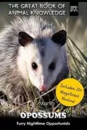 Opossums: Furry Nighttime Opportunists