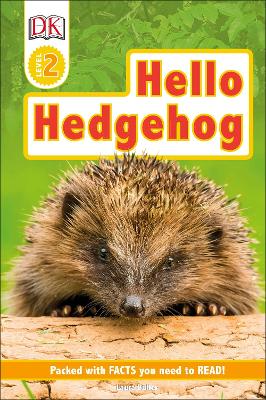 Hello Hedgehog