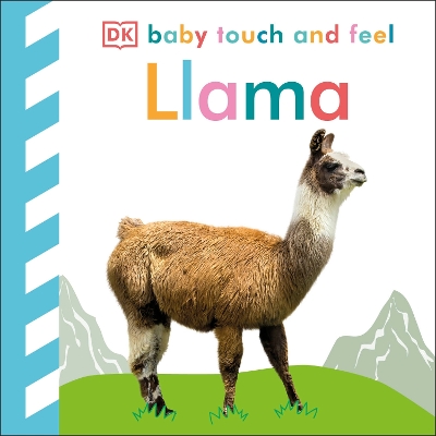 Baby Touch and Feel Llama: An Interactive Wooly Friend Board Book