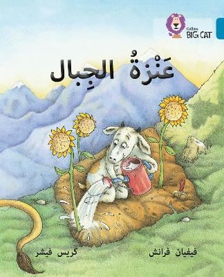 The Mountain Goat: Level 13
