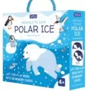 Polar Ice